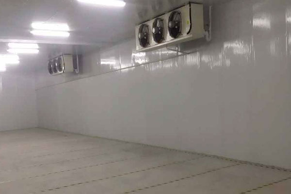 ����app��˾