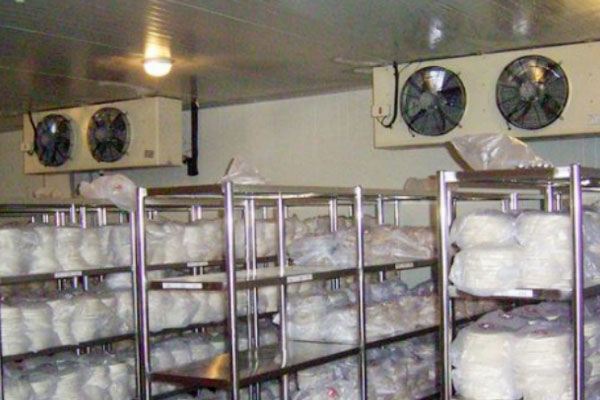 ������֪ʶ