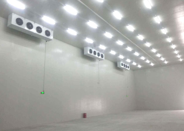 ����app��װ