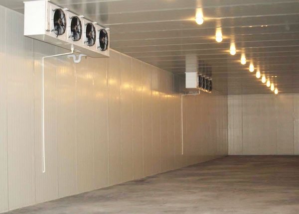 ����app����