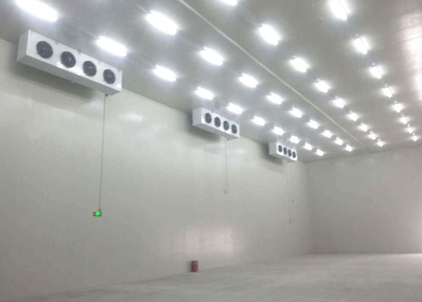 冷库安装工程 冷库安装工程