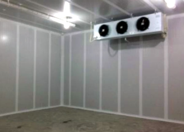 保鲜冷库 保鲜冷库